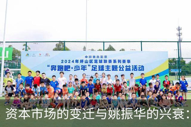 资本市场的变迁与姚振华的兴衰：从控制权争夺到资金链困境